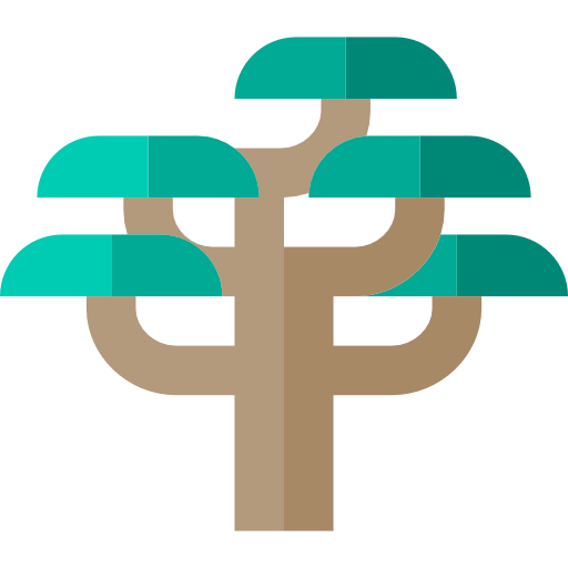 Cedar 상