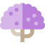 Jacaranda 상 64x64