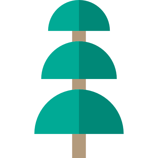 Pine 상