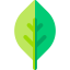 Leaf 图标 64x64
