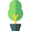 Plant icon 64x64