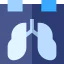 X ray 图标 64x64
