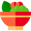 Salad icon 64x64