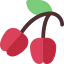 Cherry icon 64x64