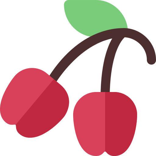 Cherry icon