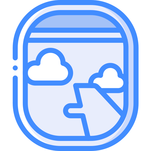 Window icon
