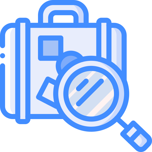 Inspection icon
