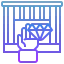 Pledge 图标 64x64