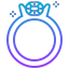 Ring 图标 64x64