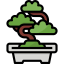 Bonsai 상 64x64