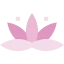 Lotus icon 64x64