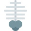 Rib cage 图标 64x64