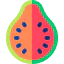 Guava icon 64x64