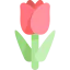 Tulip icon 64x64