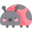 Ladybug icon 64x64