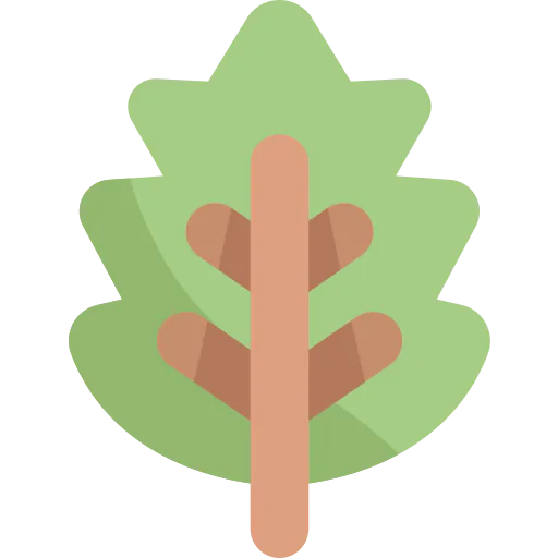 Leaf icon