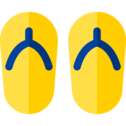 Flip flops icon