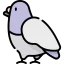 Pigeon icon 64x64