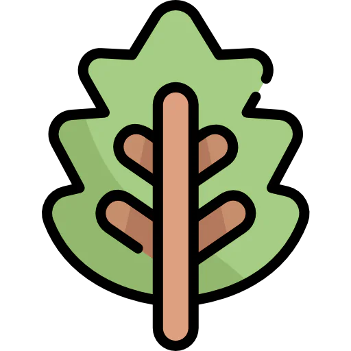 Leaf icon