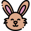 Rabbit ícono 64x64