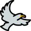 Eagle icon 64x64