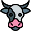 Cow icon 64x64
