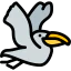 Pelican icon 64x64