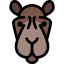 Camel icon 64x64