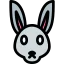 Rabbit icon 64x64