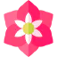 Amaryllis 图标 64x64