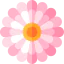 Aster 图标 64x64