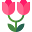 Rose 图标 64x64