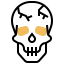 Skull icon 64x64