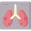 X ray icon 64x64