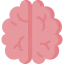 Brain icon 64x64