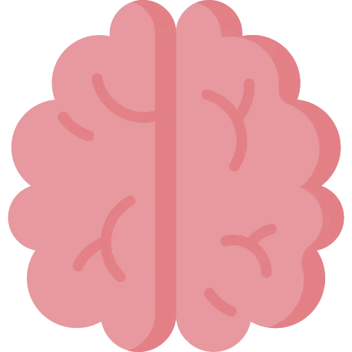 Brain icon
