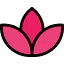 Lotus icon 64x64