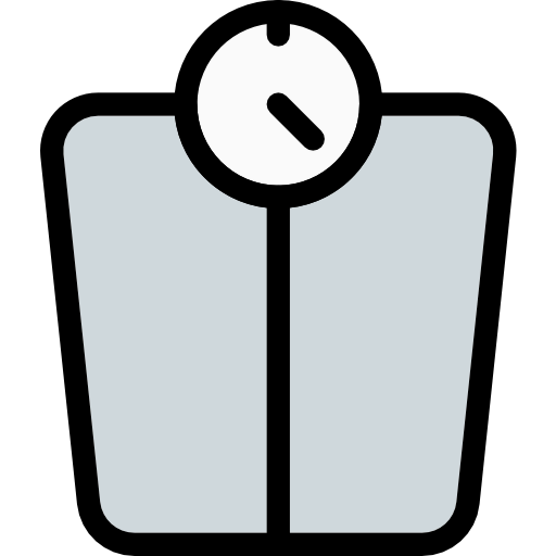 Scale icon