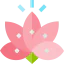 Lotus icon 64x64