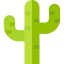 Cactus icon 64x64
