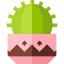 Cactus 图标 64x64