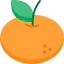 Orange 图标 64x64