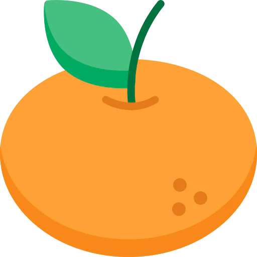 Orange icon