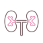 Kidneys ícone 64x64