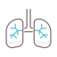 Lungs icon 64x64