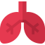 Lungs icône 64x64
