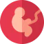 Pregnant biểu tượng 64x64