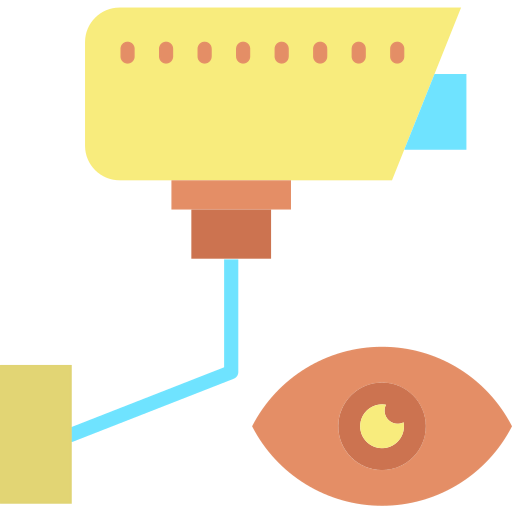 Surveillance ícone