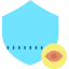 Shield icon 64x64