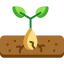 Seed icon 64x64